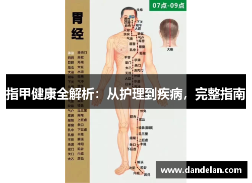 指甲健康全解析：从护理到疾病，完整指南