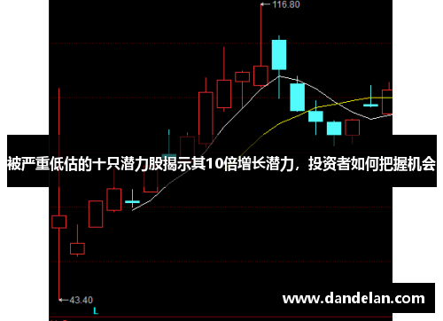被严重低估的十只潜力股揭示其10倍增长潜力，投资者如何把握机会