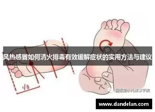 风热感冒如何清火排毒有效缓解症状的实用方法与建议