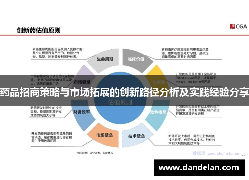 药品招商策略与市场拓展的创新路径分析及实践经验分享